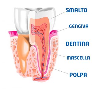 denti-sensibili-dentina