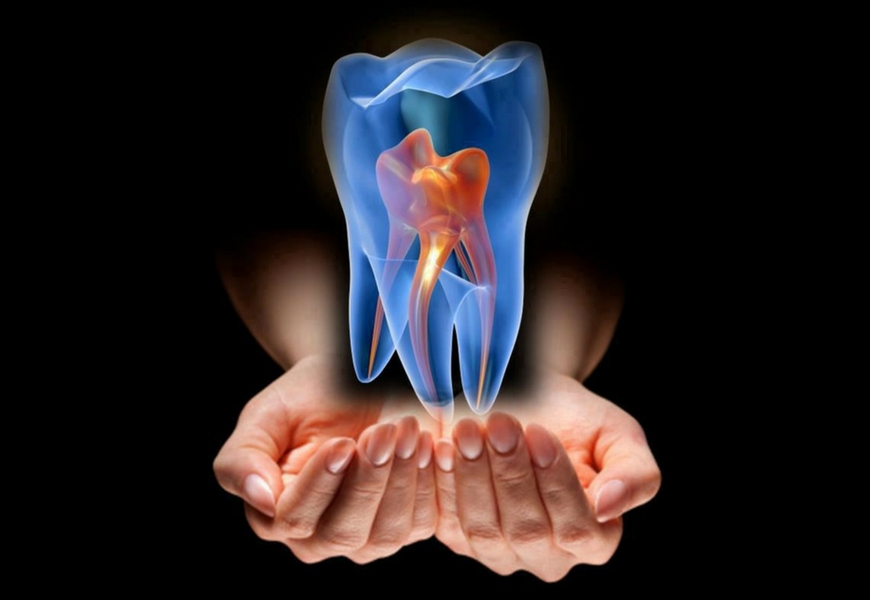 cellule-staminali-denti-contro-parodontite