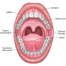 diagnosi di cancro orale